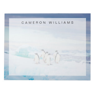 Eis und Schnee Adelie Penguins Antarktis Notizblock