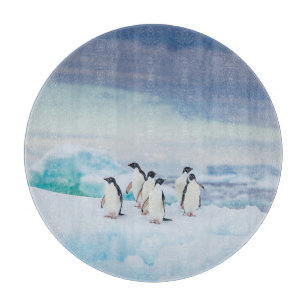 Eis und Schnee   Adelie Penguins Antarktis Schneidebrett