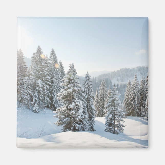 Eis und Schnee | Allgäu Bayern Süddeutschland Magnet (Vorne)