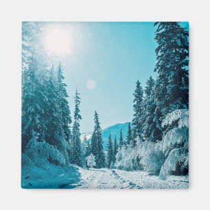 Eis und Schnee   Altai Nature Reserve, Russland Magnet