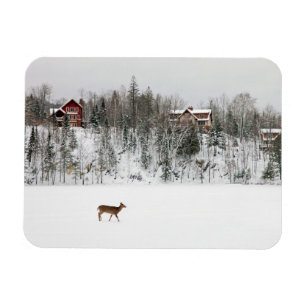 Eis und Schnee   Deh in Snow Quebec, Kanada Magnet