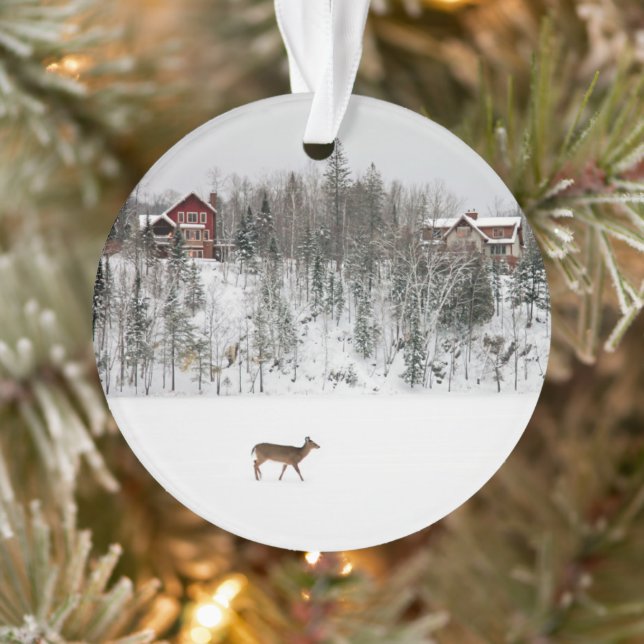 Eis und Schnee | Deh in Snow Quebec, Kanada Ornament (Baum)