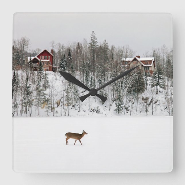 Eis und Schnee | Deh in Snow Quebec, Kanada Quadratische Wanduhr (Vorderseite)