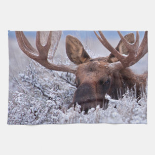 Eis und Schnee   Grand Teton National Park, Wyomin Geschirrtuch