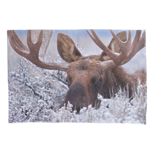 Eis und Schnee | Grand Teton National Park, Wyomin Kissenbezug (Vorderseite)