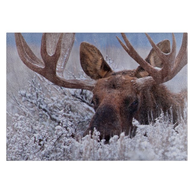 Eis und Schnee | Grand Teton National Park, Wyomin Schneidebrett (Vorderseite)