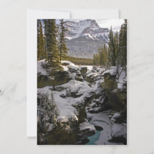 Eis und Schnee Jasper National Park Alberta, Kan Dankeskarte