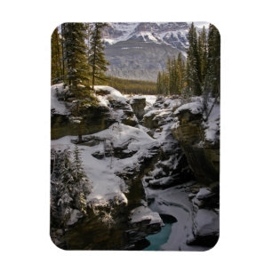 Eis und Schnee Jasper National Park Alberta, Kan Magnet