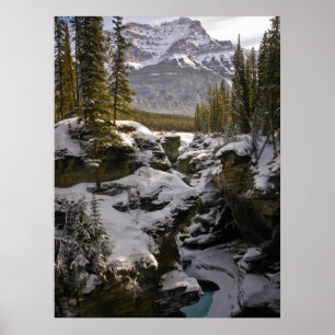 Eis und Schnee Jasper National Park Alberta, Kan Poster