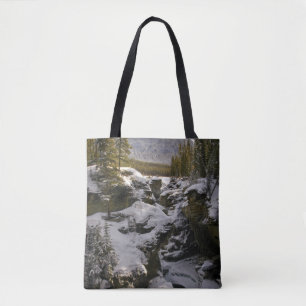 Eis und Schnee Jasper National Park Alberta, Kan Tasche
