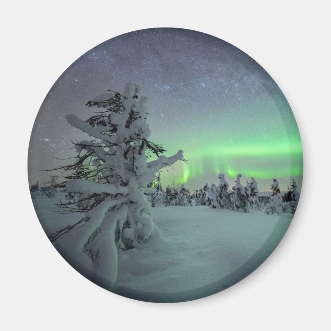 Eis und Schnee | Pallas-Yllastunturi-Nationalpark Magnet (Vorne)