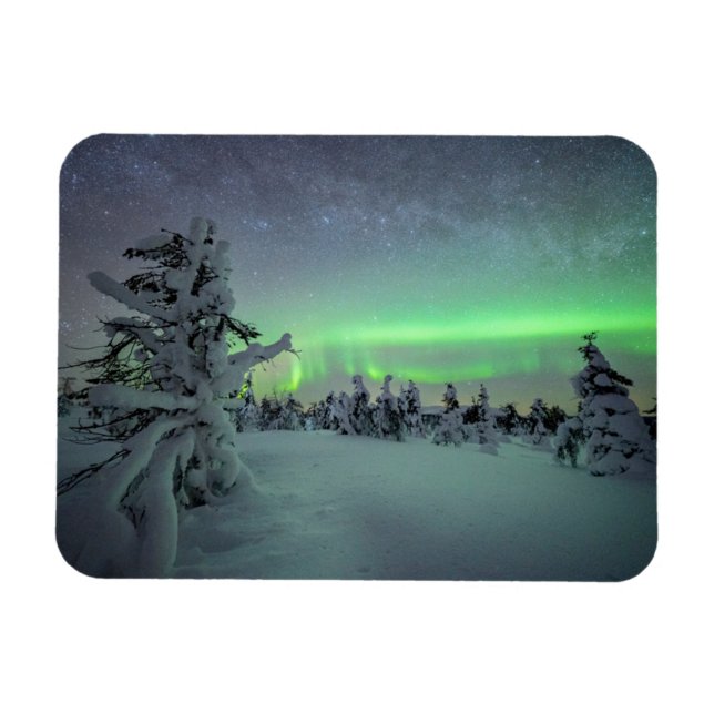 Eis und Schnee | Pallas-Yllastunturi-Nationalpark Magnet (Horizontal)