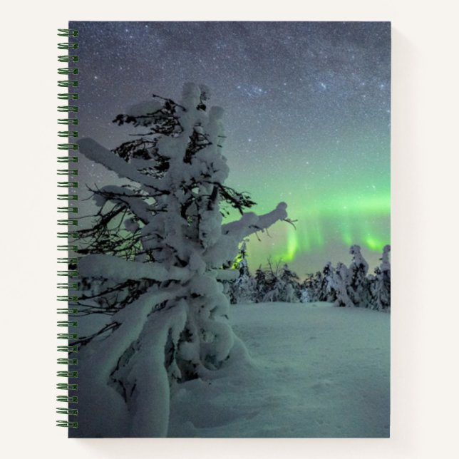 Eis und Schnee | Pallas-Yllastunturi-Nationalpark Notizbuch (Vorderseite)