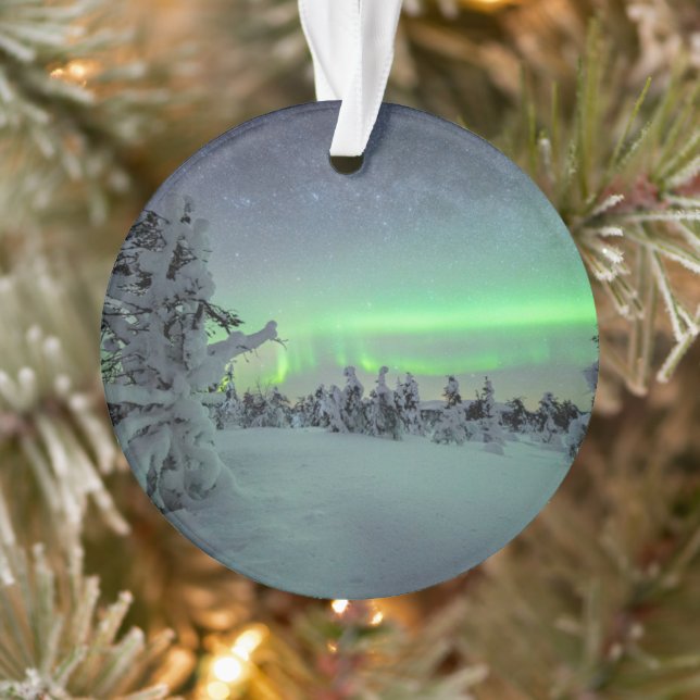 Eis und Schnee | Pallas-Yllastunturi-Nationalpark Ornament (Baum)