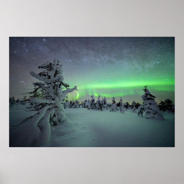 Eis und Schnee | Pallas-Yllastunturi-Nationalpark Poster (Vorne)