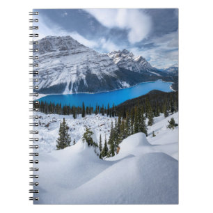 Eis und Schnee   Peyto-See, Kanadische Rockies Notizblock