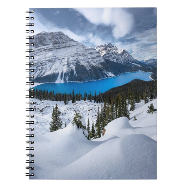 Eis und Schnee | Peyto-See, Kanadische Rockies Notizblock (Vorderseite)