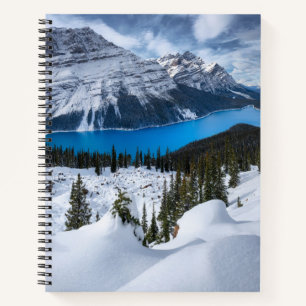 Eis und Schnee   Peyto-See, Kanadische Rockies Notizbuch