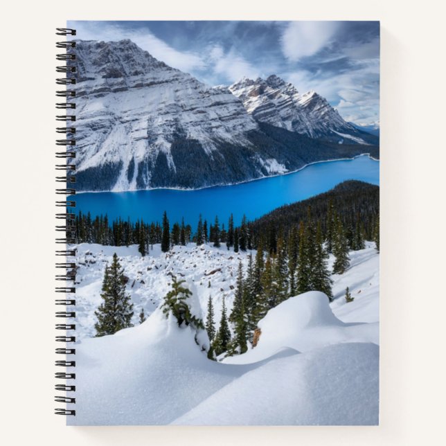 Eis und Schnee | Peyto-See, Kanadische Rockies Notizbuch (Vorderseite)