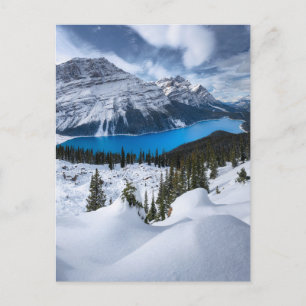 Eis und Schnee   Peyto-See, Kanadische Rockies Postkarte