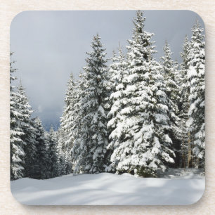 Eis und Schnee Pine Woodland, Österreich Getränkeuntersetzer