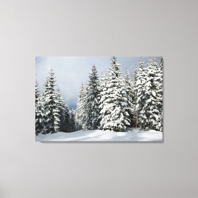 Eis und Schnee | Pine Woodland, Österreich Leinwanddruck (Vorderseite)