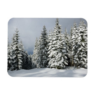 Eis und Schnee Pine Woodland, Österreich Magnet