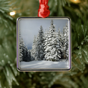 Eis und Schnee Pine Woodland, Österreich Ornament Aus Metall