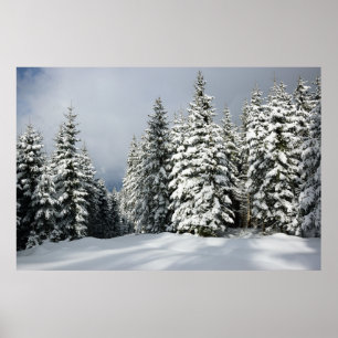 Eis und Schnee Pine Woodland, Österreich Poster