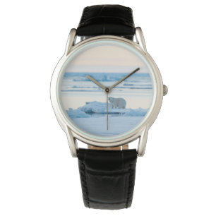 Eis und Schnee Polar Bear Iceberg Norwegen Armbanduhr