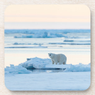 Eis und Schnee Polar Bear Iceberg Norwegen Getränkeuntersetzer