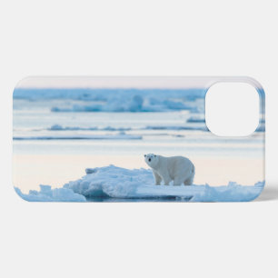 Eis und Schnee   Polar Bear Iceberg Norwegen iPhone Hülle