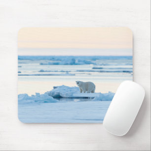 Eis und Schnee Polar Bear Iceberg Norwegen Mousepad