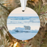 Eis und Schnee | Polar Bear Iceberg Norwegen Ornament<br><div class="desc">Dieses phantastische Foto von Getty Images besticht durch einen Eisbär,  der auf Eis spaziert und nach Essen sucht.</div>