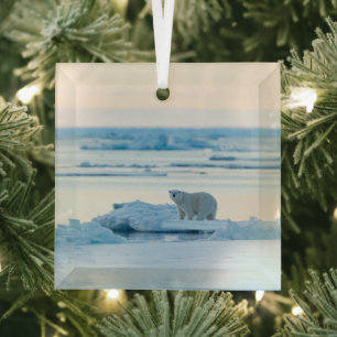 Eis und Schnee   Polar Bear Iceberg Norwegen Ornament Aus Glas