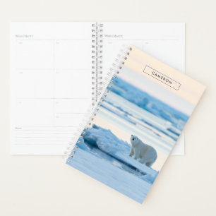 Eis und Schnee   Polar Bear Iceberg Norwegen Planer