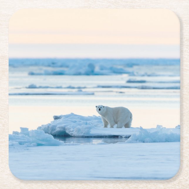 Eis und Schnee | Polar Bear Iceberg Norwegen Rechteckiger Pappuntersetzer (Vorderseite)
