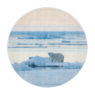 Eis und Schnee   Polar Bear Iceberg Norwegen Schneidebrett