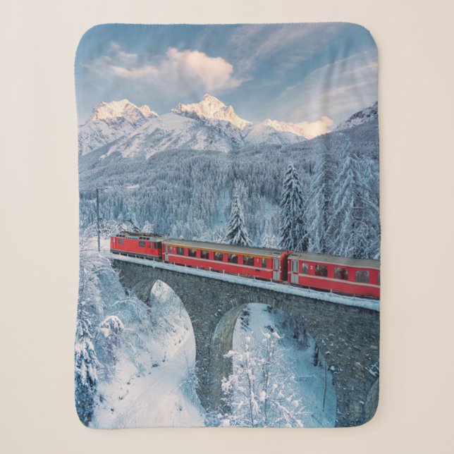 Eis und Schnee | Red Bernina Express Zug Schweiz Sherpadecke (Vorderseite)
