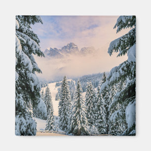 Eis und Schnee Rosengarten, Deutschland Magnet