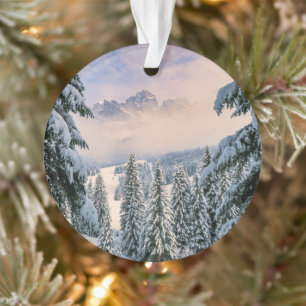 Eis und Schnee Rosengarten, Deutschland Ornament