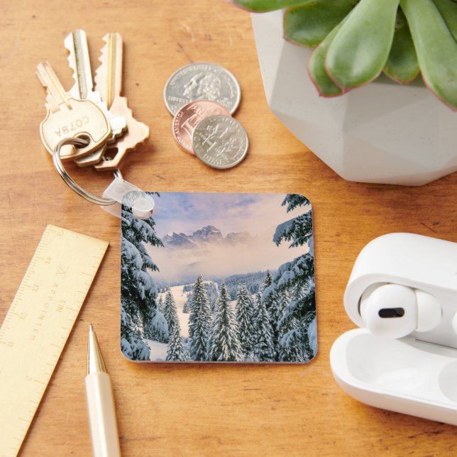 Eis und Schnee | Rosengarten, Deutschland Schlüsselanhänger (Schreibtisch)