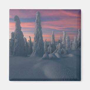 Eis und Schnee   Schneebedeckte Bäume, Lappland, F Magnet