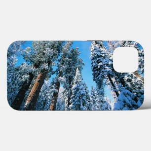 Eis und Schnee   Sequoia National Park, Kalifornie Case-Mate iPhone Hülle