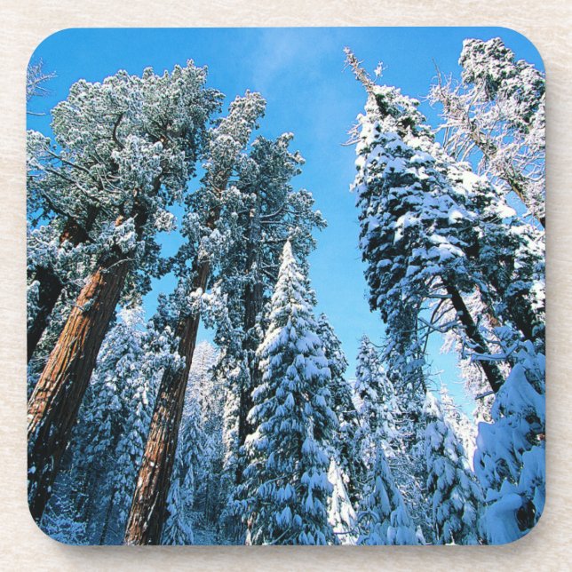 Eis und Schnee | Sequoia National Park, Kalifornie Getränkeuntersetzer (Vorderseite)