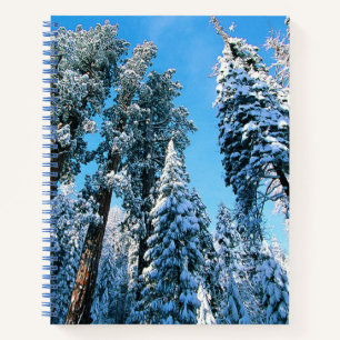 Eis und Schnee Sequoia National Park, Kalifornie Notizbuch