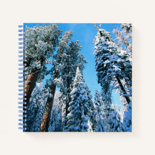 Eis und Schnee Sequoia National Park, Kalifornie Notizbuch