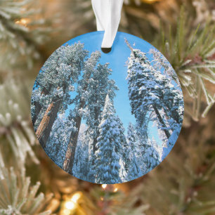 Eis und Schnee Sequoia National Park, Kalifornie Ornament