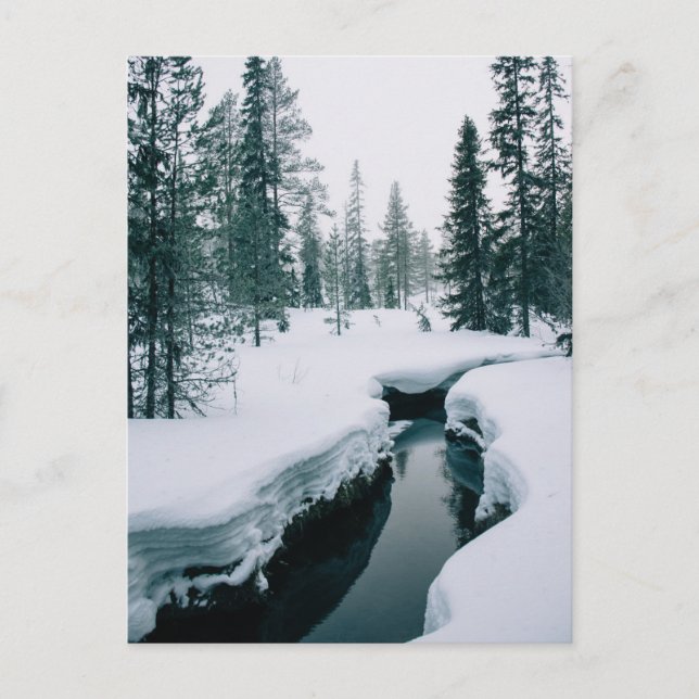 Eis und Schnee | Streit in einer schneebedeckten W Postkarte (Vorderseite)