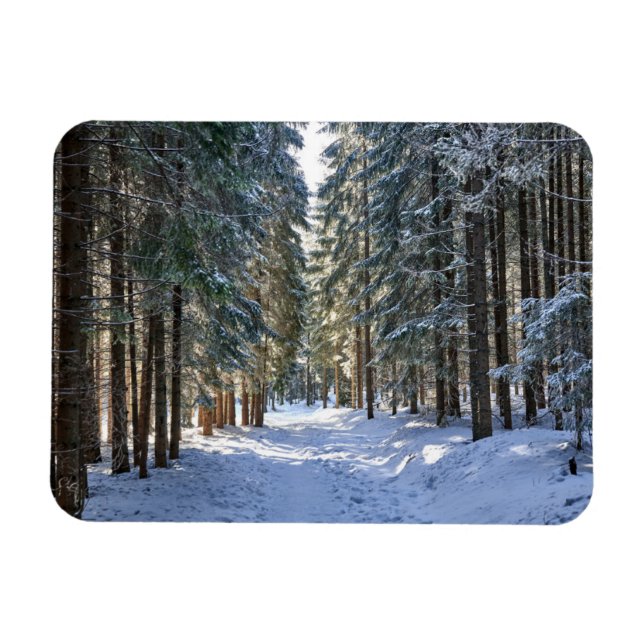 Eis und Schnee | Tatra Mountains, Polen Magnet (Horizontal)